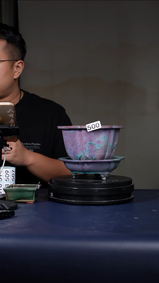 其他瓷福利500号青绿釉葵口盆  口20高15.6 送盆托 NO退换