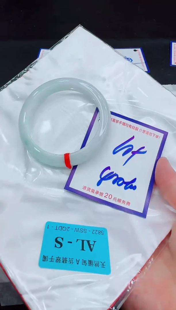 未镶嵌手镯翡翠11111111