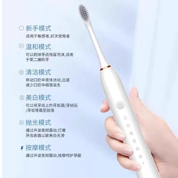 电动牙刷成人全自动CH018智能声波情侣套装女士男款专用