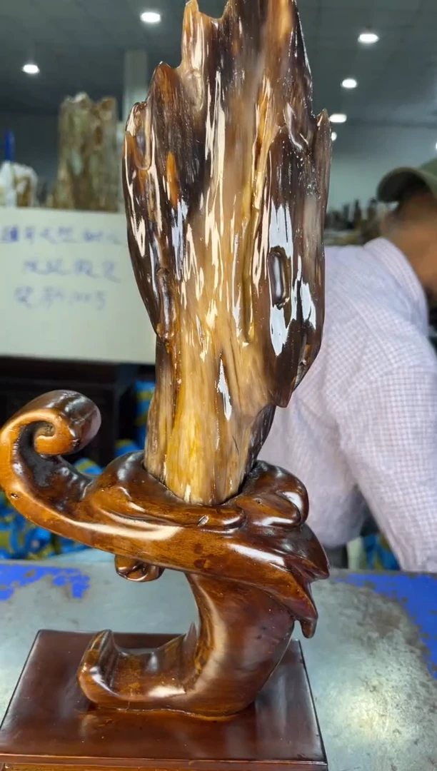 未镶嵌摆件硅化玉9