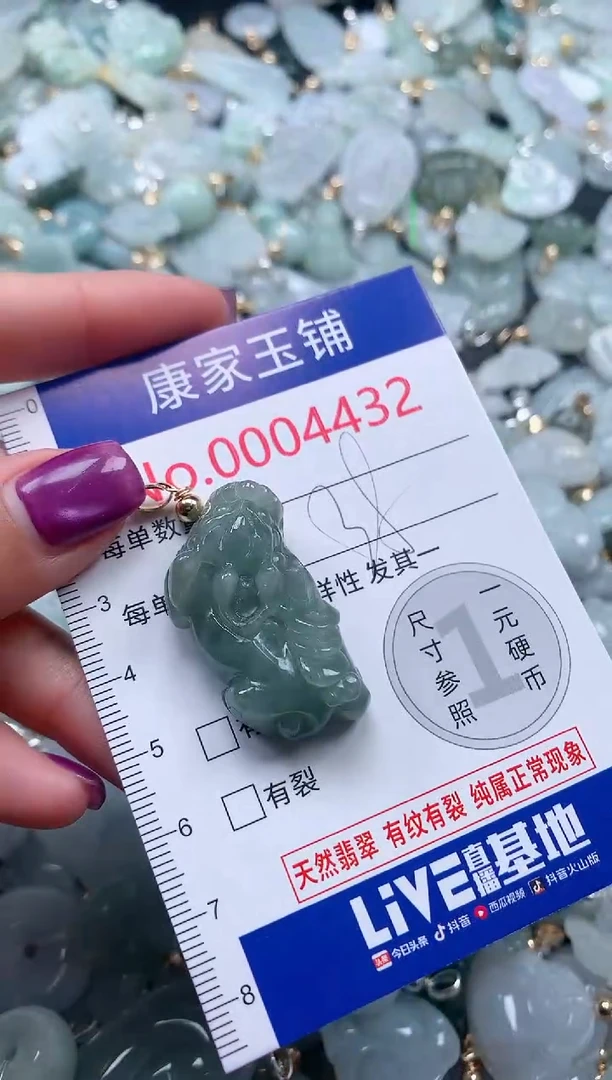 颈饰未镶嵌翡翠4432