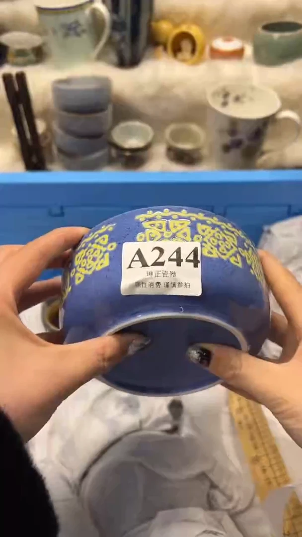 【闪购商品】瓷片          A244