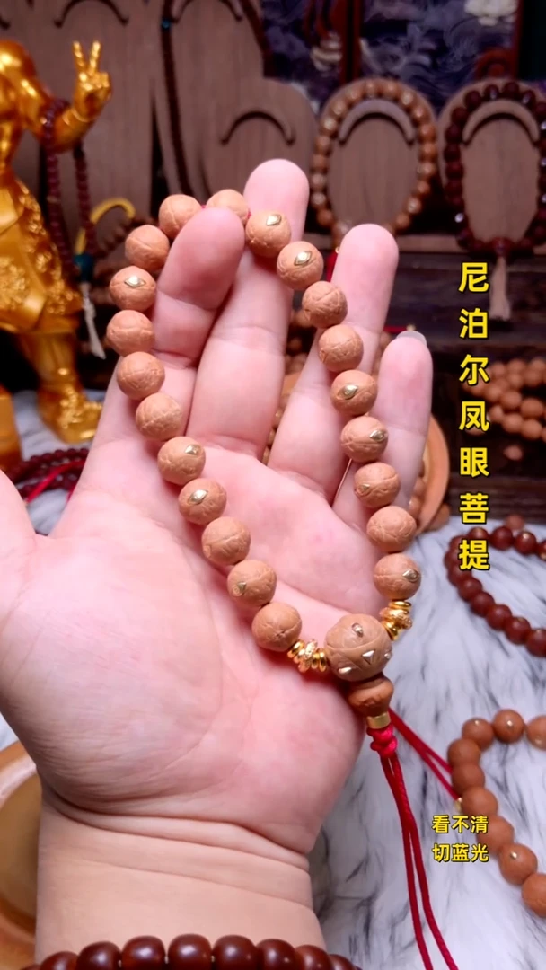 手串凤眼菩提法罗眼12