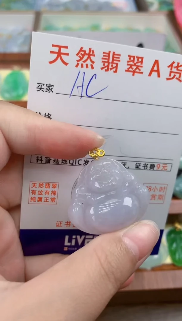 颈饰未镶嵌翡翠天然A货翡翠挂件