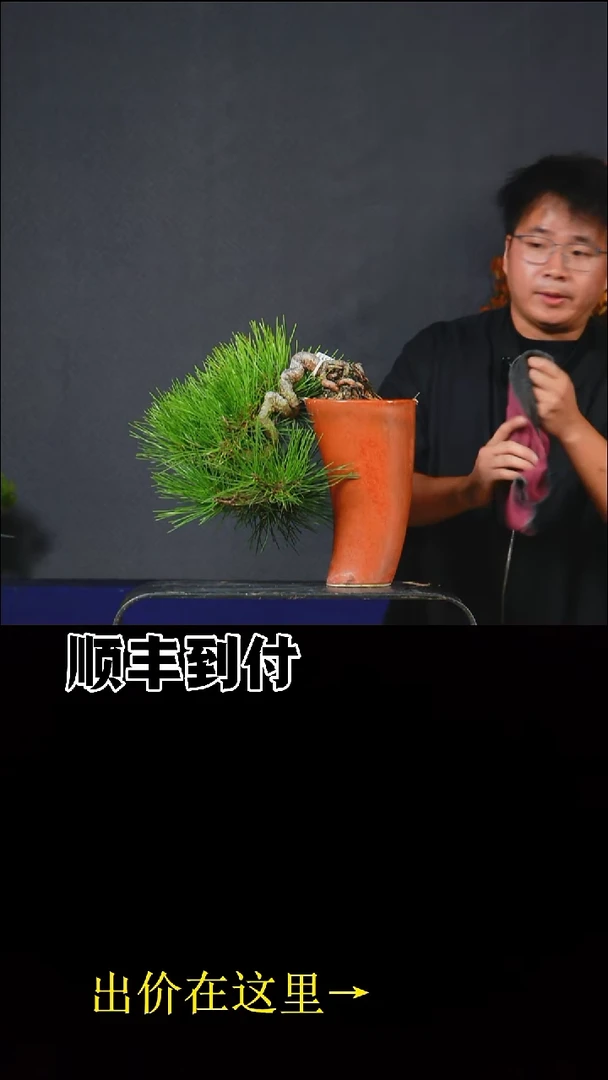 以实际为准_b286三河黑松bubaoyou