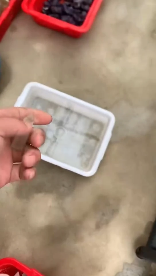 【闪购商品】水晶.未镶嵌丁水晶