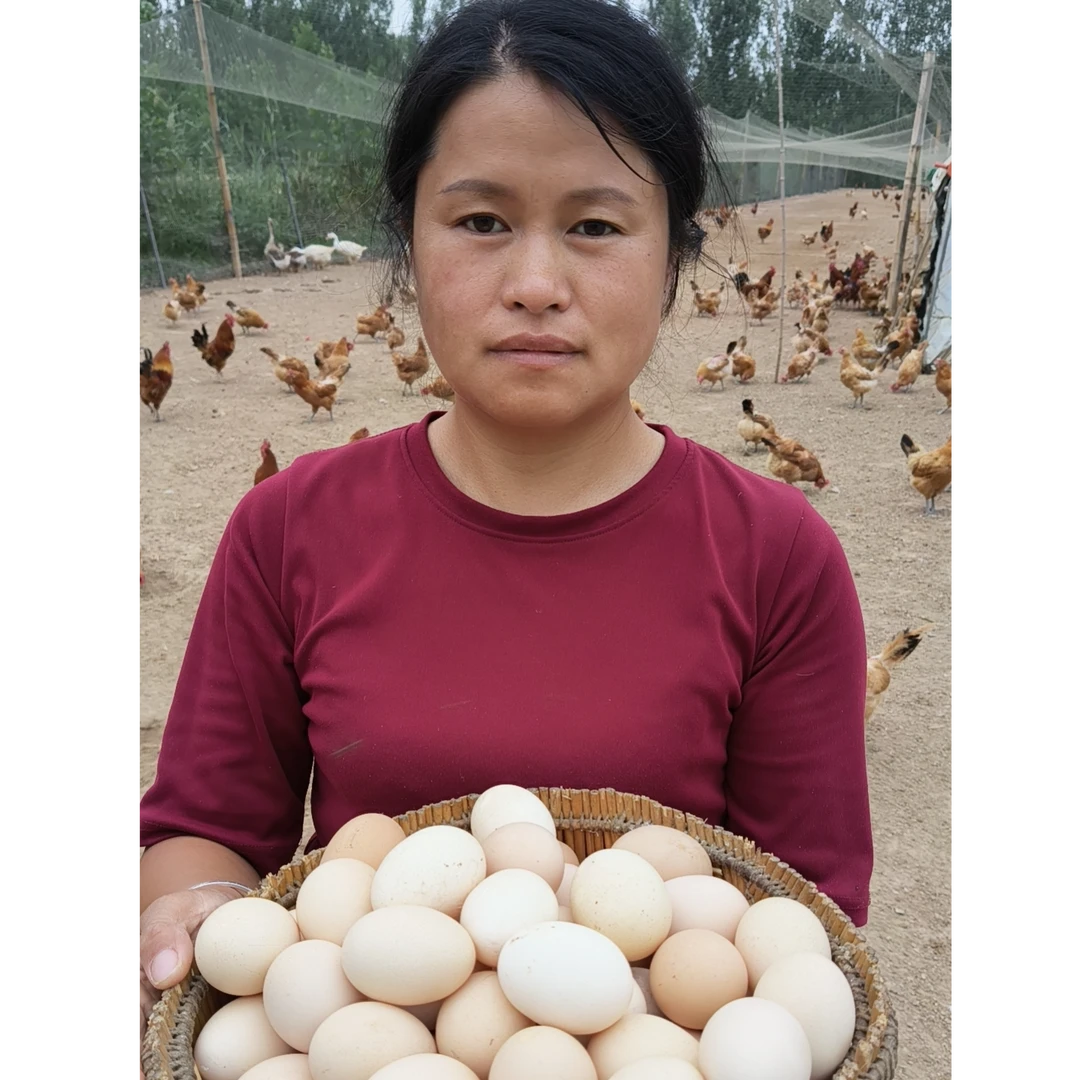 东平湖农家散养新鲜土鸡蛋杂粮喂养营养丰富(坏蛋农村包赔)