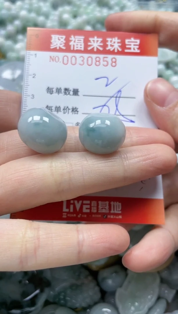 【闪购商品】翡翠颈饰未镶嵌闪购0030858