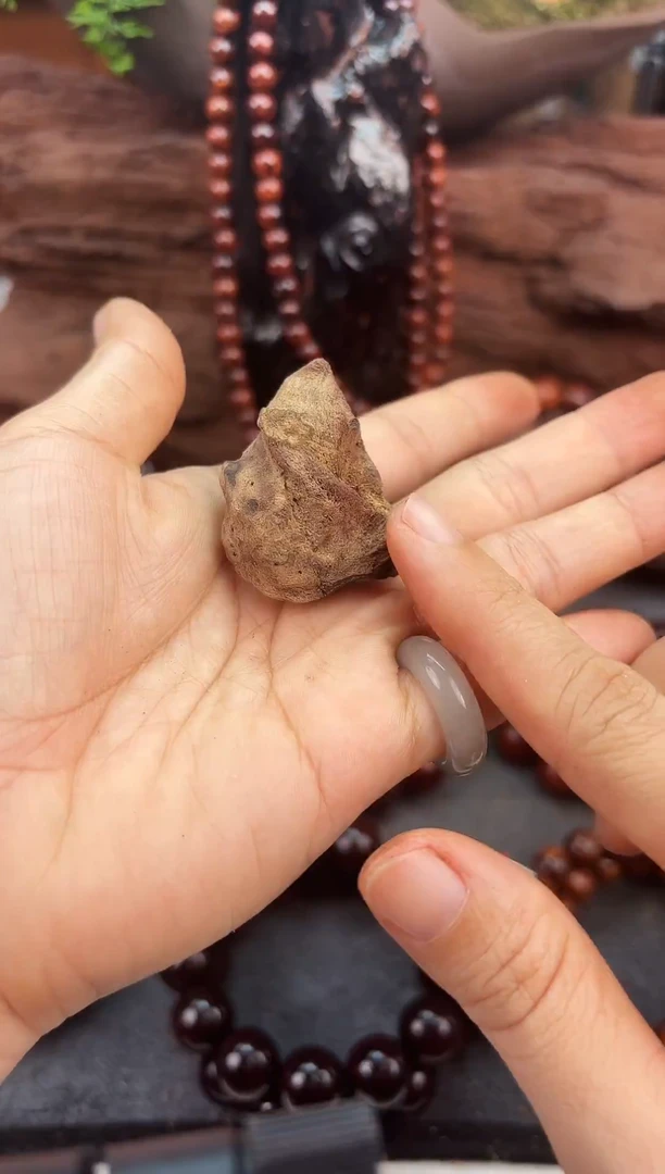 降真香海南红降花梨公原料随形手把件10g