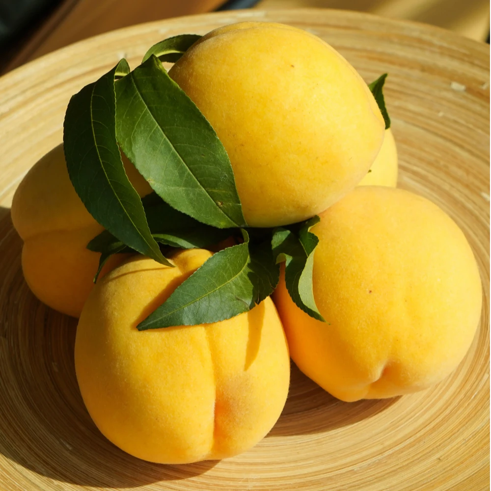 桂东高山黄桃新鲜水果当季现摘现发红心黄桃非炎陵黄桃