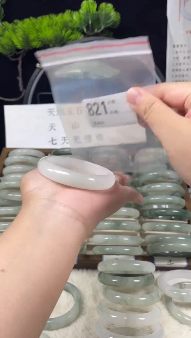 未镶嵌手镯石英质玉（天山翠）821