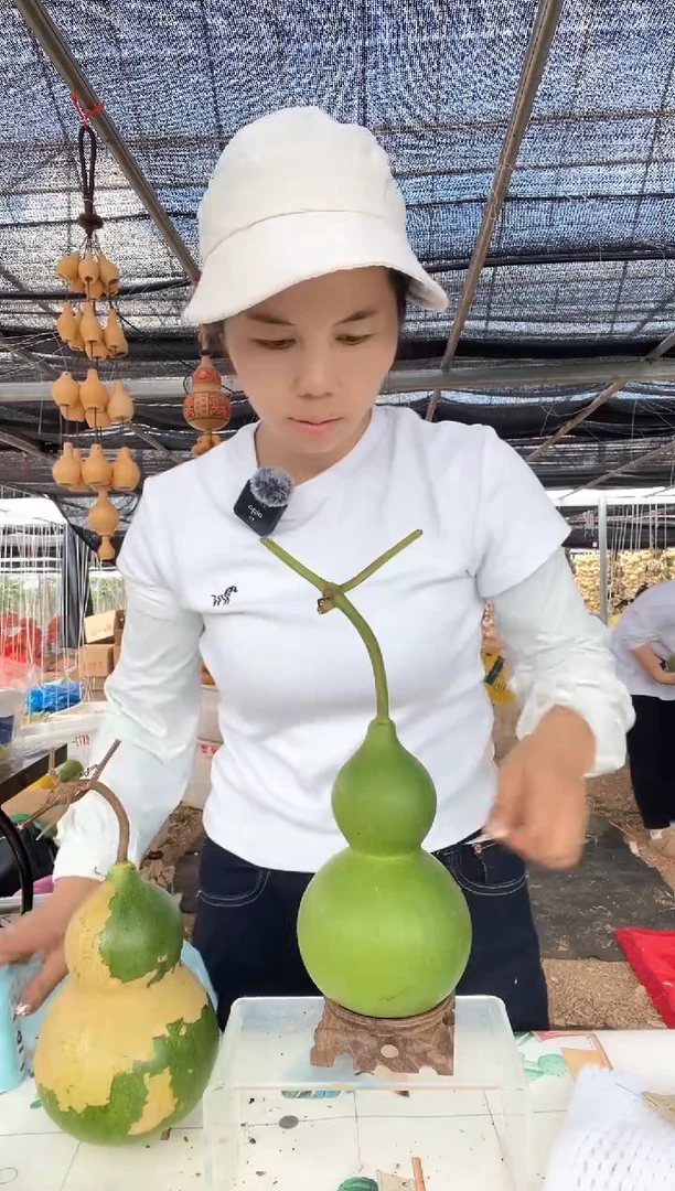 715天然葫芦摆件 一物一拍龙头不保售后