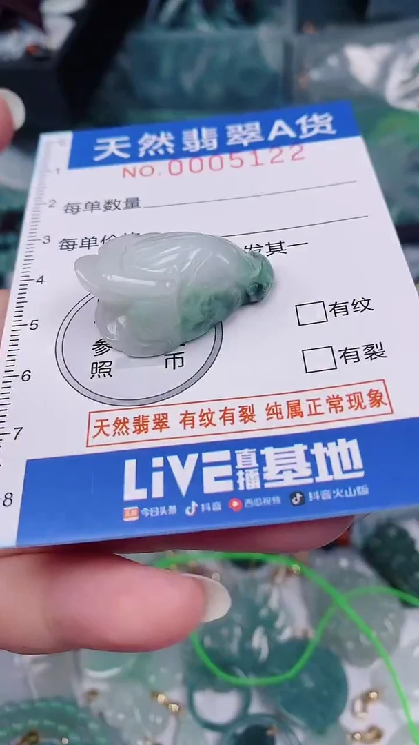 翡翠未镶嵌颈饰00005122