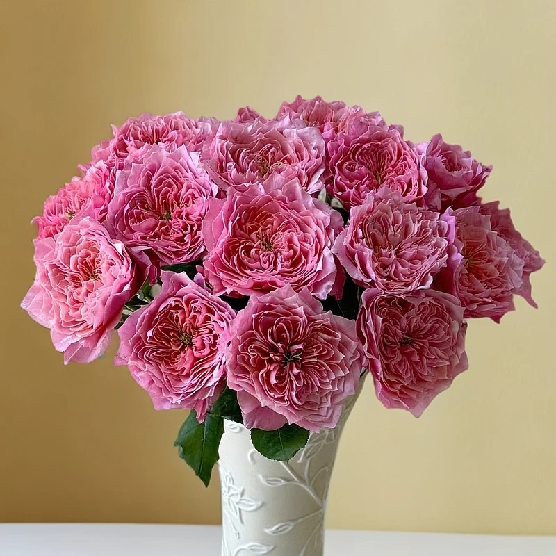 【香羿鲜花】卫子夫玫瑰一扎/全场任意满两单及以上包邮