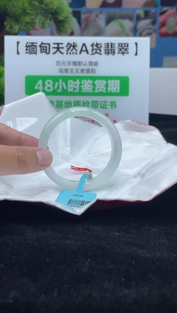 【闪购商品】翡翠手镯未镶嵌手镯5