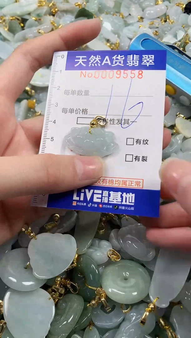 颈饰未镶嵌翡翠纯天然a货翡翠