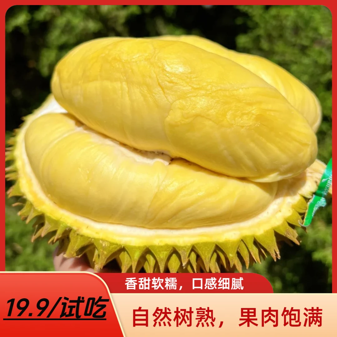 88一斤干包泰国树熟金枕【广州同城】泰国树熟金枕核小肉厚新鲜鲜果一果一重广州同城小时达金枕泰国