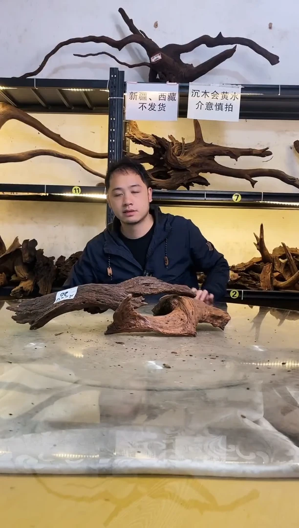 【闪购商品】柚木木艺226鱼缸造景沉木