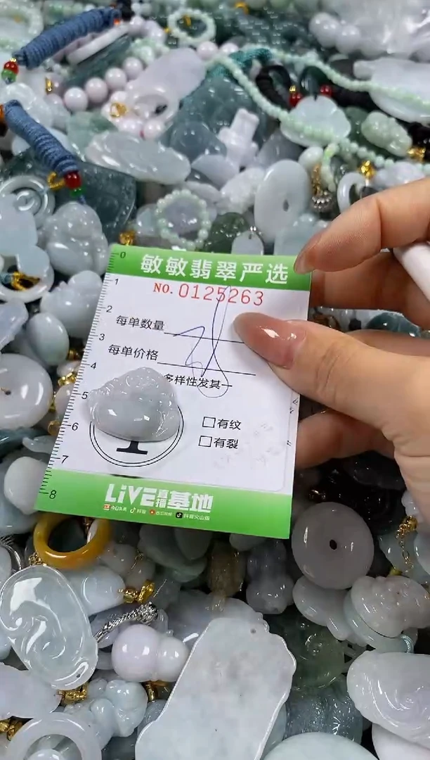 【闪购商品】翡翠颈饰未镶嵌闪购0125263