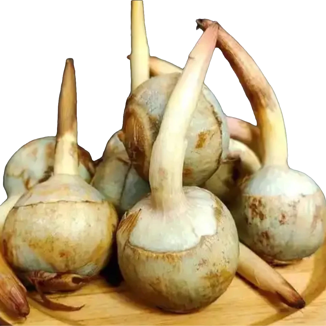 【蔬菜组合】茨菇1斤/豆苗1斤/刀豆1斤/牛心菜1个/矮脚青1斤