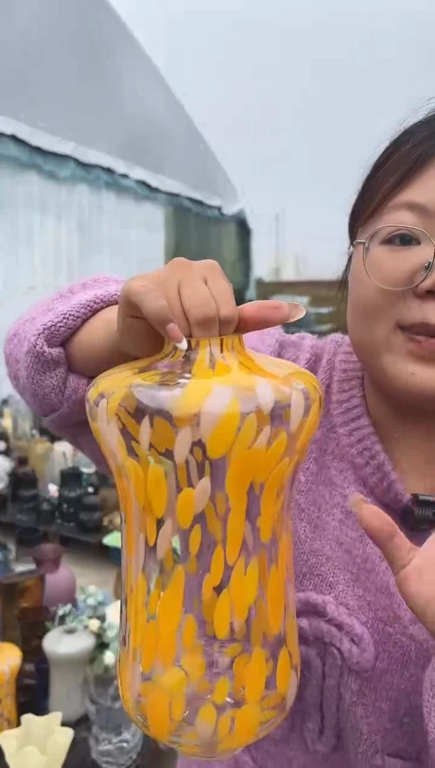 花瓶客厅餐桌插花装饰好物
