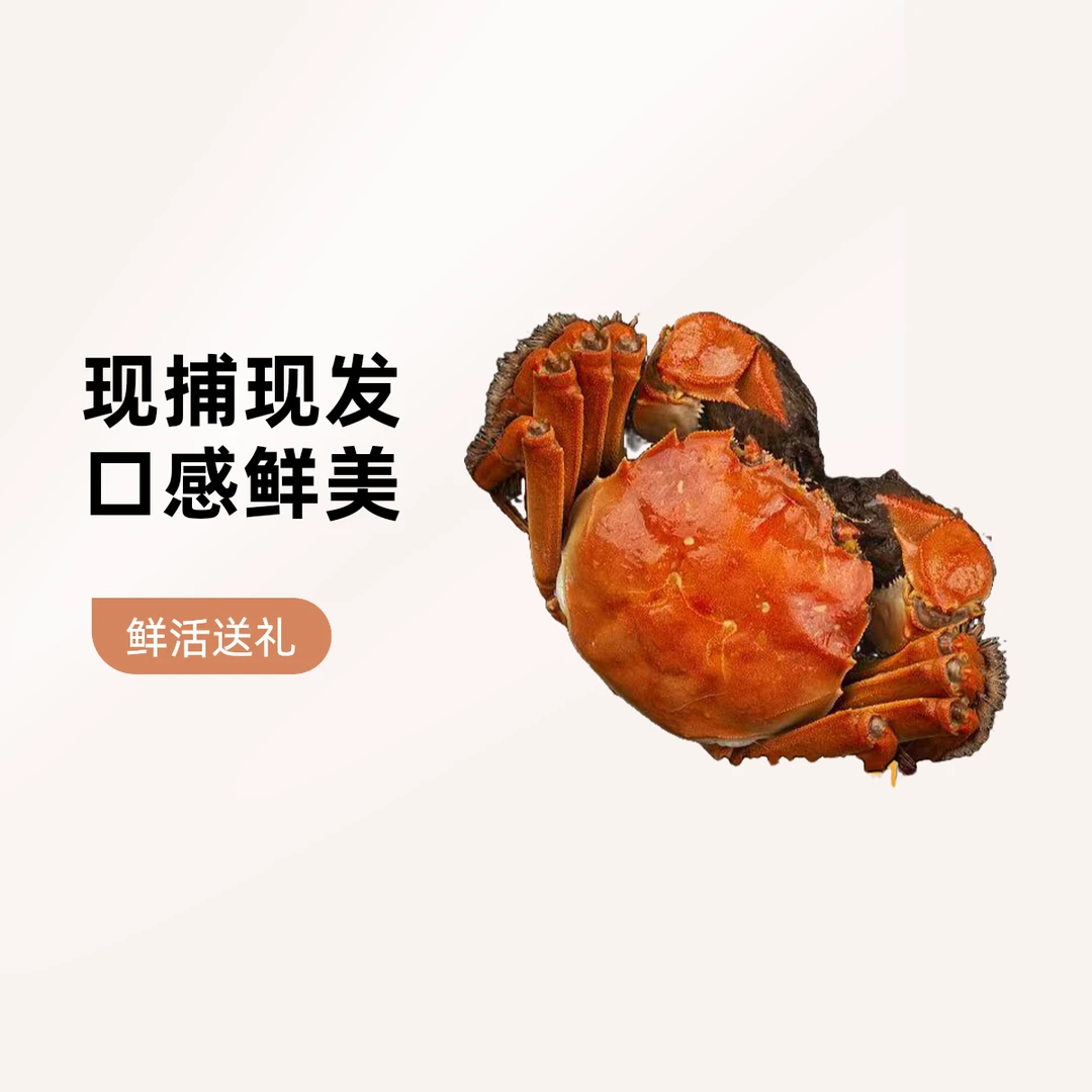 【活蟹】江苏大闸蟹1.3-1.6两现捕现发螃蟹买15只发25只   京东次日达