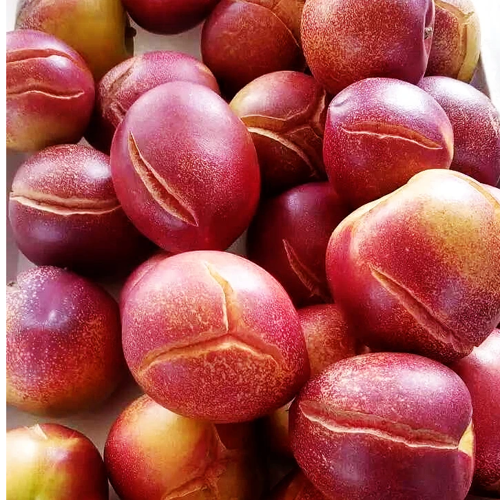 油桃丑油桃老品种油桃甜脆老油桃顺丰包邮