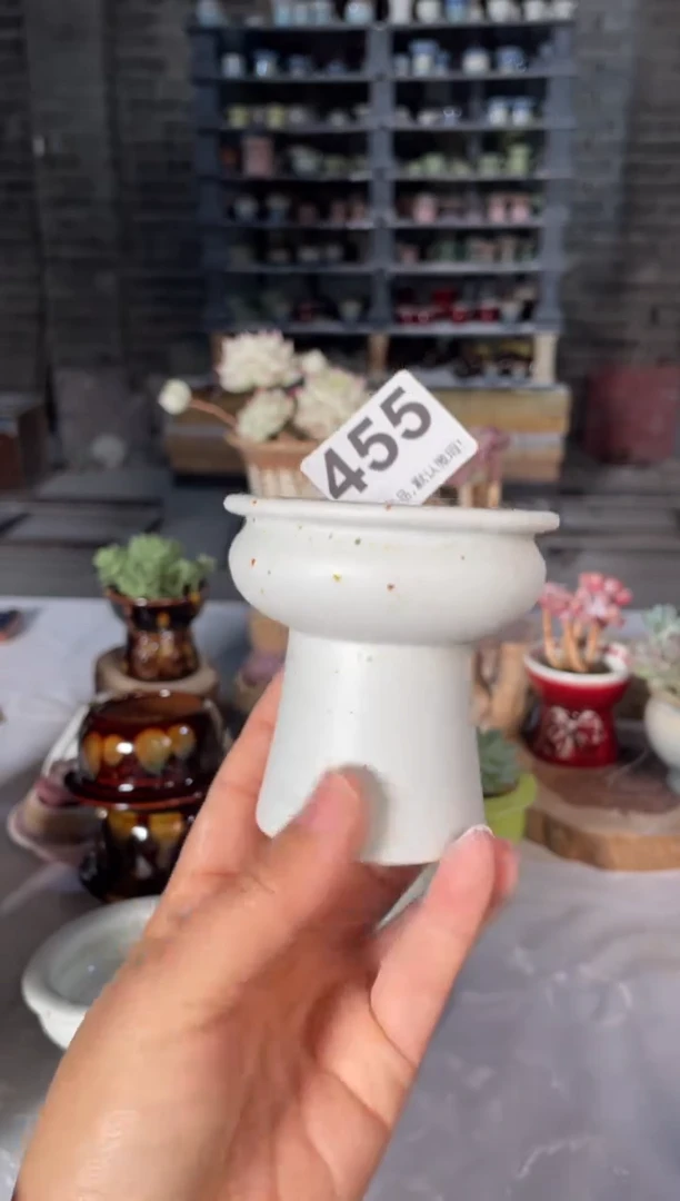瓷片455小芳直播编号