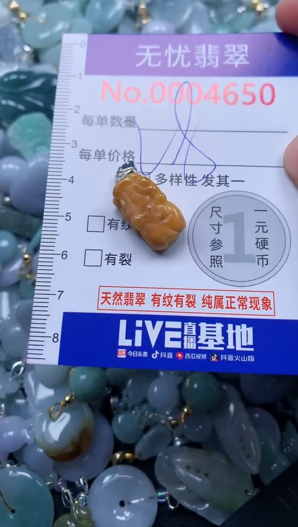 颈饰未镶嵌翡翠4650