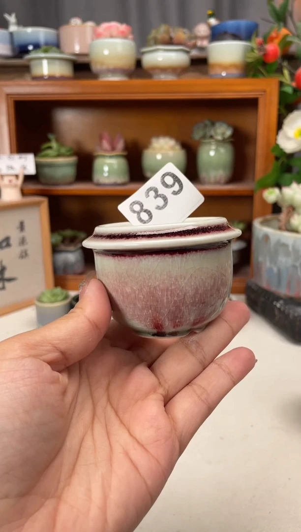 瓷片839知木小芳花盆