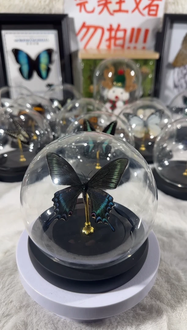 玻璃东北小绿带  水晶球