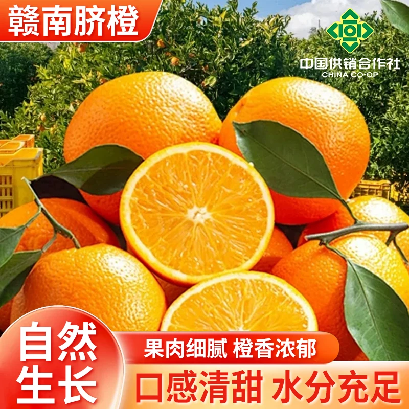 正宗产地直发赣南脐橙新鲜采摘应季橙子爆汁水果坏果包赔带开果器