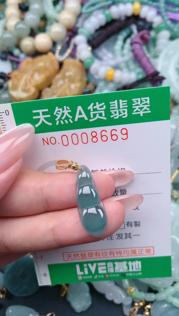 翡翠未镶嵌颈饰.0008669