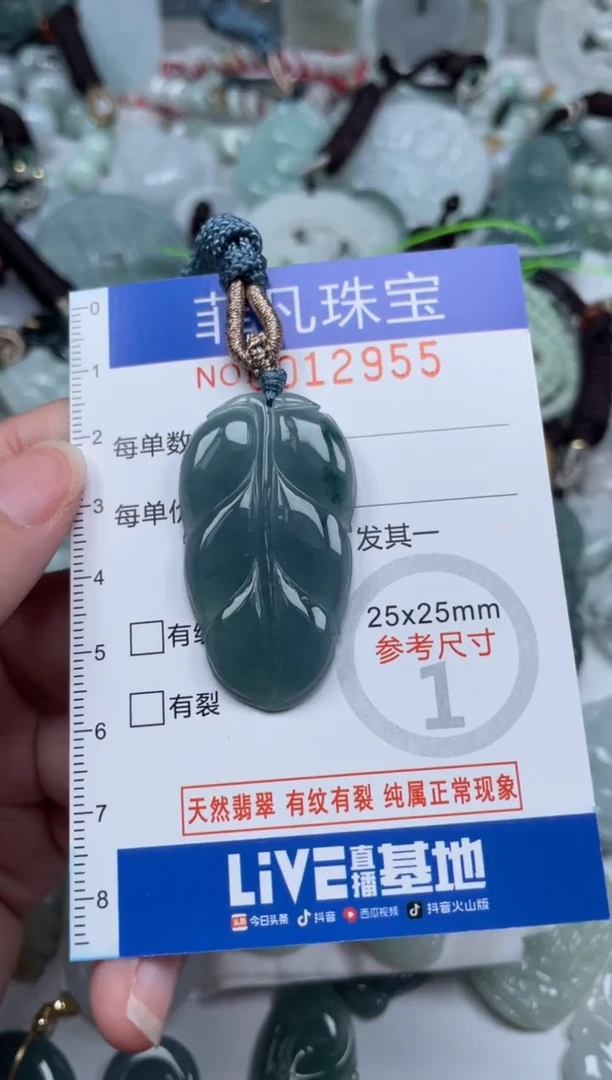 颈饰未镶嵌翡翠12955