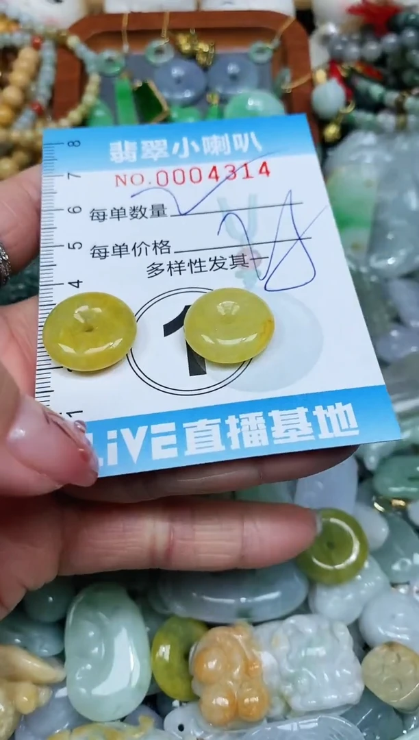【闪购商品】翡翠颈饰未镶嵌闪购0004314