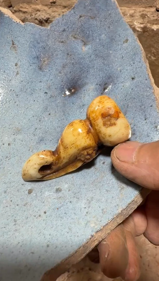 瓷片瓷器瓷器瓷器瓷器