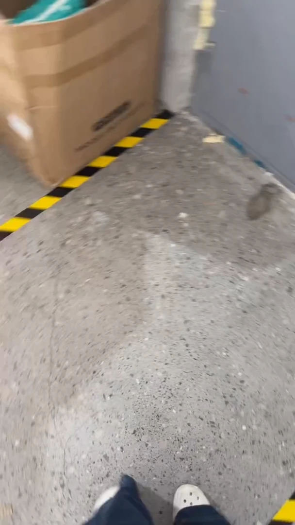 破包 小龙纸尿裤L38片