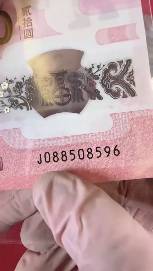 【闪购商品】塑料2025蛇钞单张裸啊啊啊啊啊啊