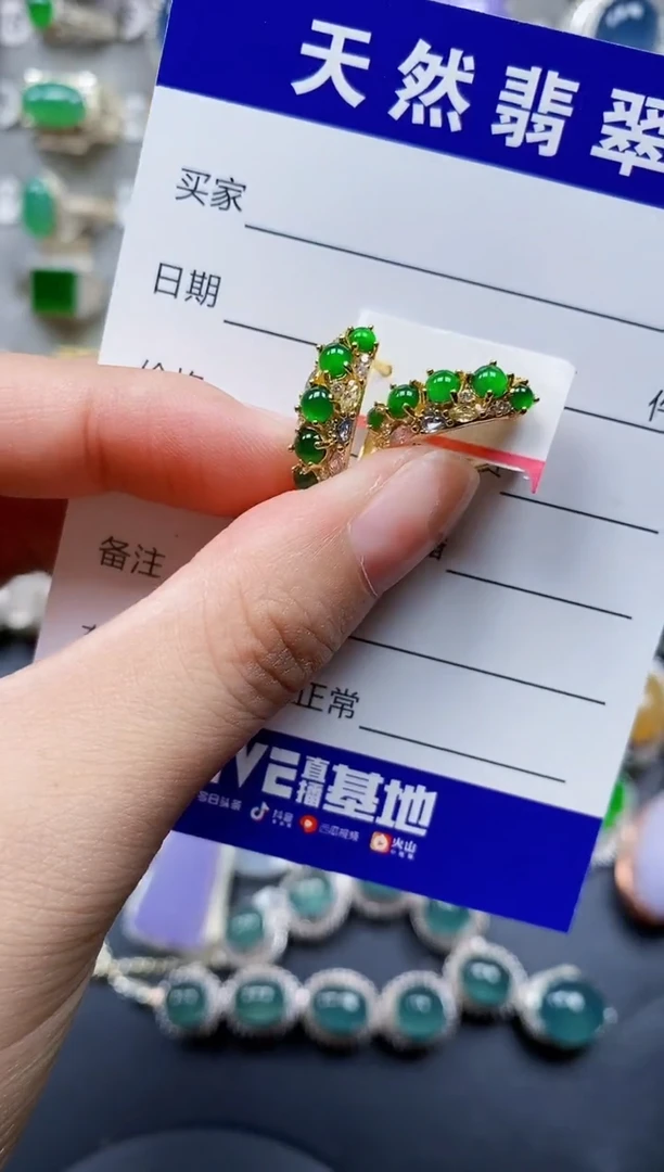 翡翠银S925镶嵌耳饰0148