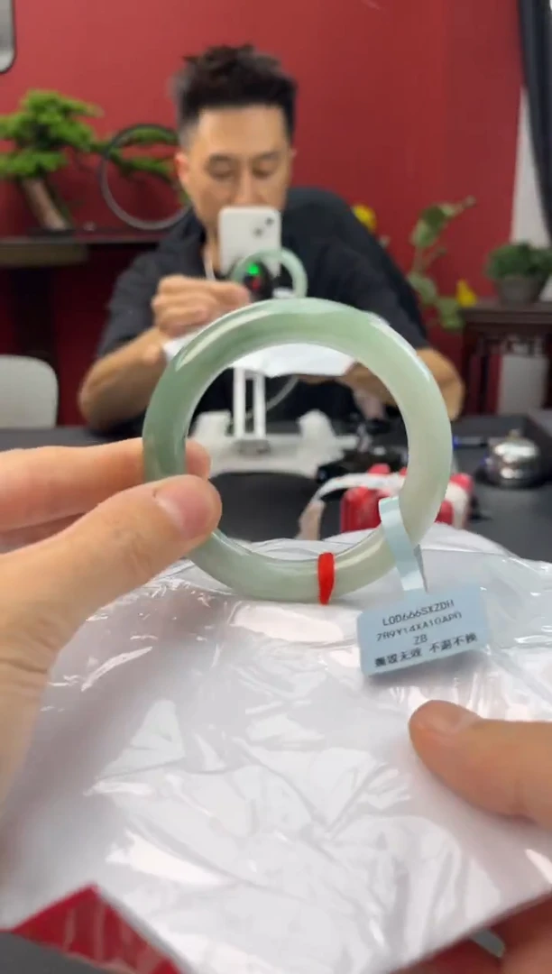 未镶嵌手镯翡翠9