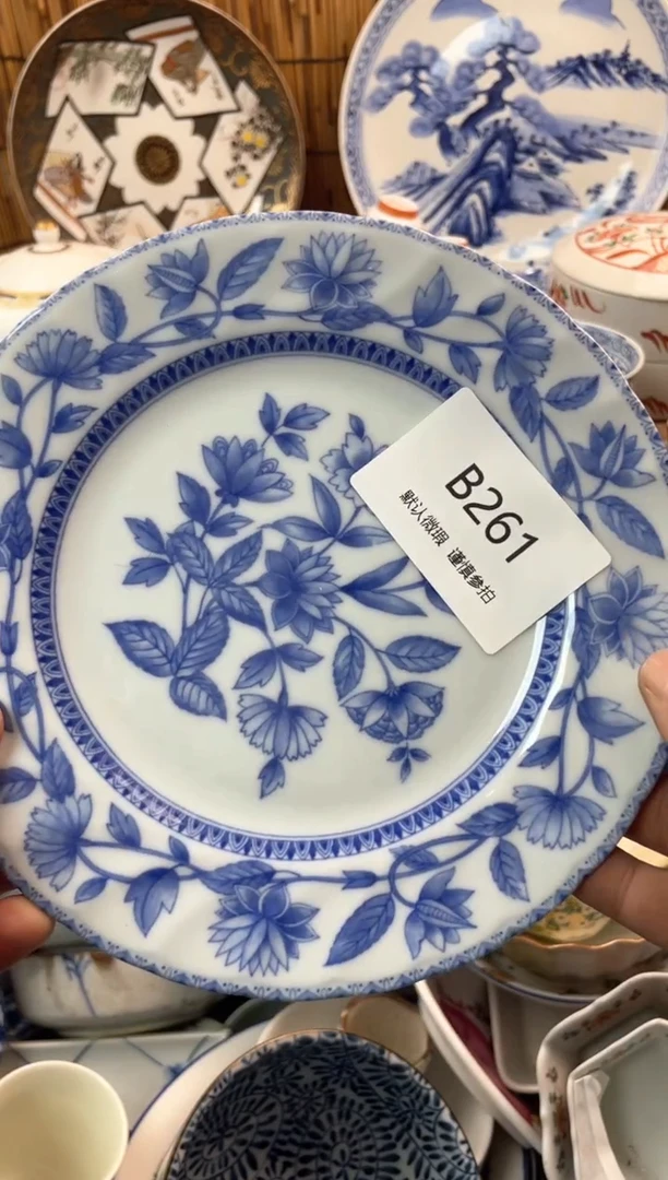 【闪购商品】日式中古no退no换默认微瑕B261