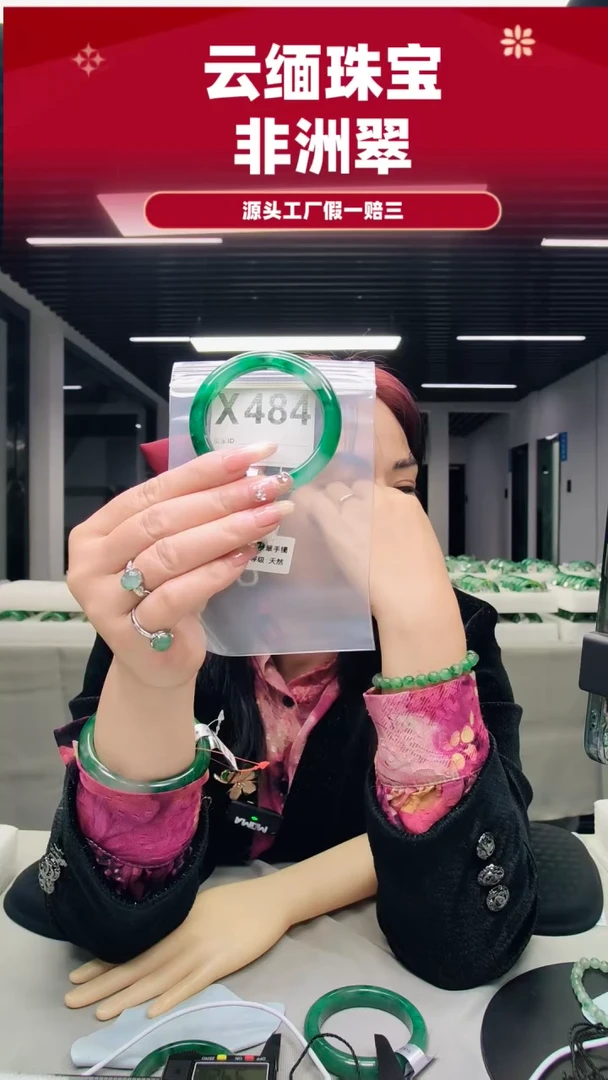 未镶嵌手镯石英质玉（非洲翠）54圈口X484