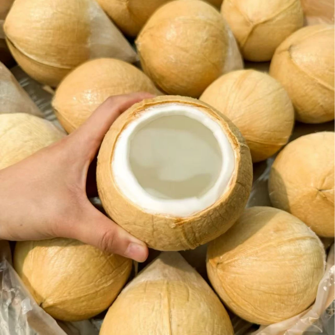 T泰国丹嫩沙多核心产区椰皇6-9颗装（400-600g/颗）顺丰京东