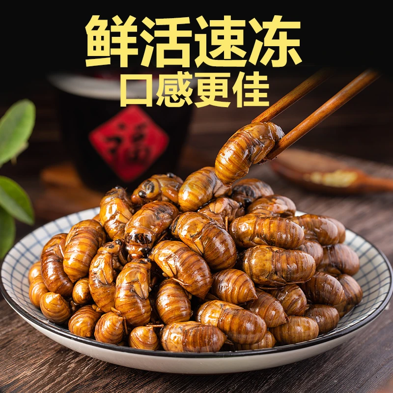 2025年新鲜金蝉知了猴爬叉猴山东特产