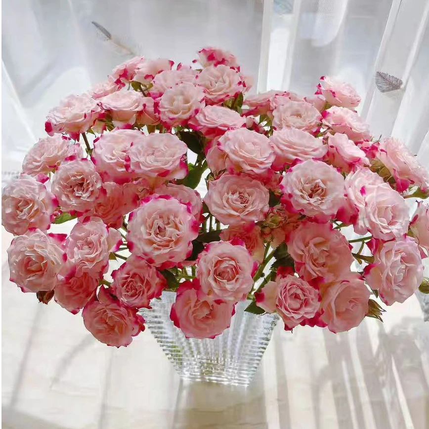 AB级折射玫瑰花顺丰包邮折射多头玫瑰花10枝泡泡玫瑰花基地直发