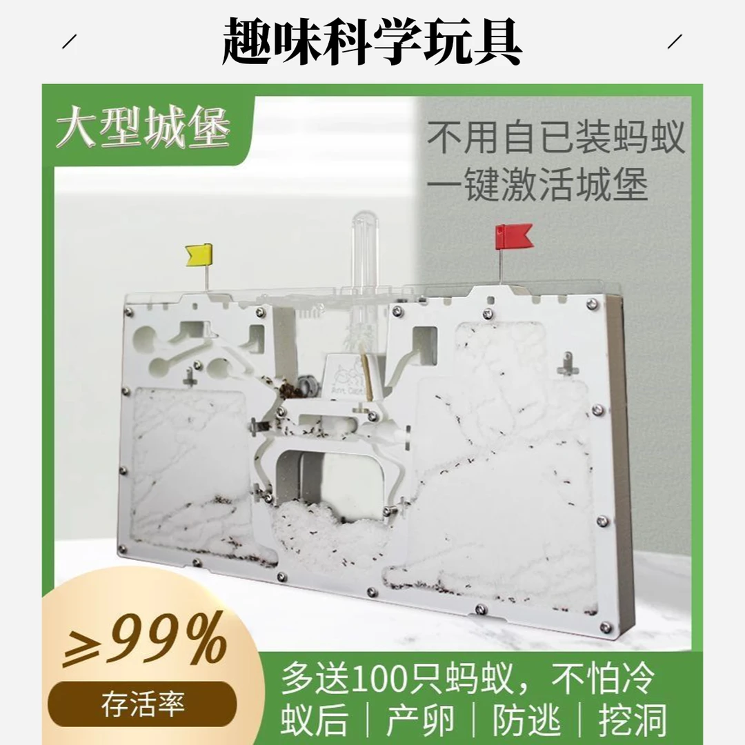 蚂蚁工坊科学试验生态箱带蚁后学生可观察繁殖的昆虫饲养盒城堡
