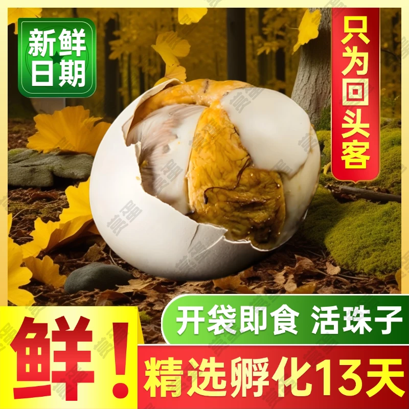 【SD-4】新鲜13天正宗活珠子五香开袋即食香辣味钢化蛋真空鸡胚蛋