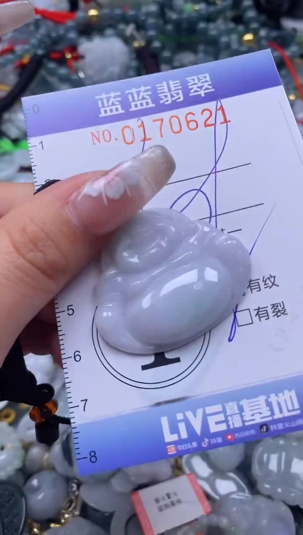 【闪购商品】翡翠颈饰未镶嵌闪购0170621