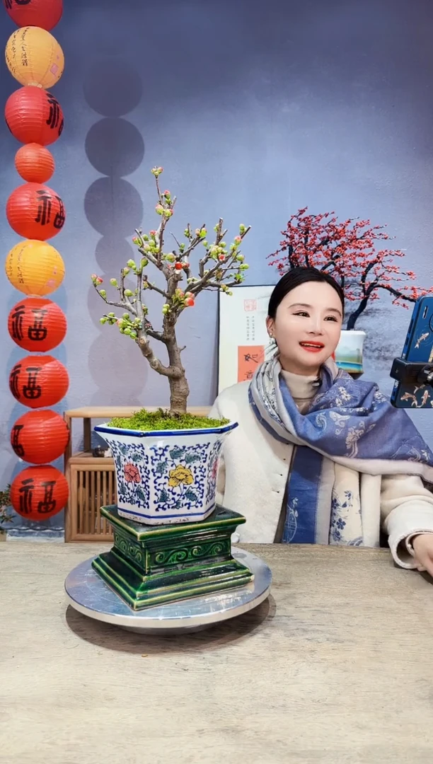 【闪购商品】盆景脆皮金桔