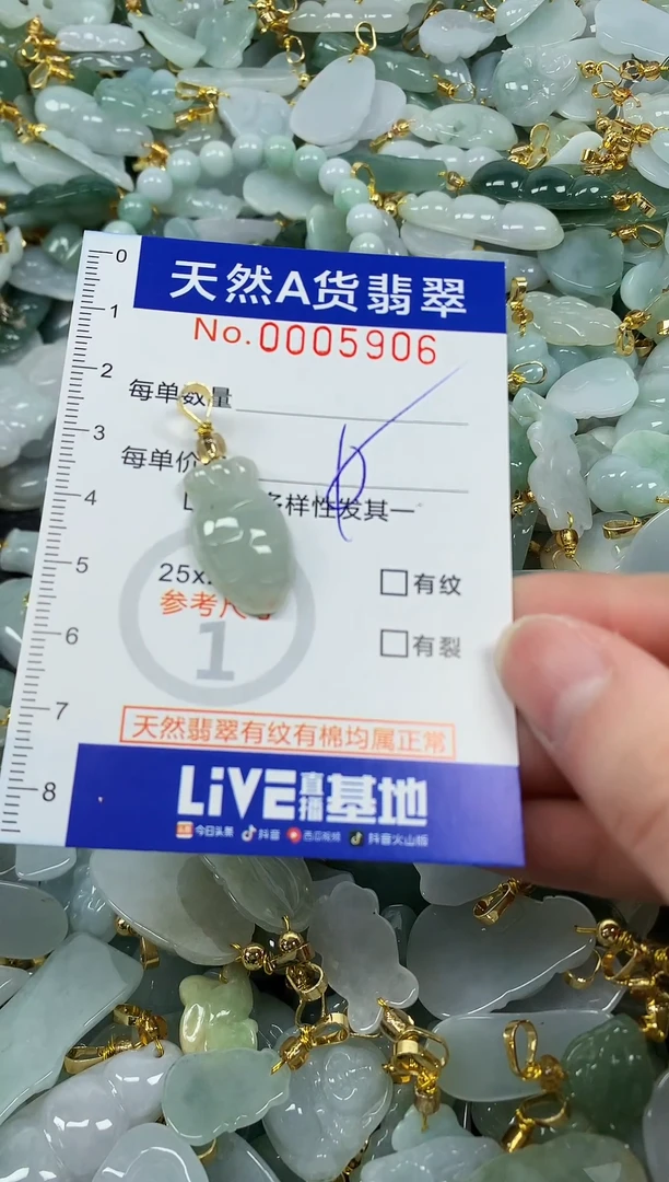 颈饰未镶嵌翡翠纯天然a货翡翠